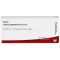 ARTERIA OPHTHALMICA GL D 12 Ampullen