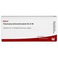 FASCICULUS atrioventricularis GL D 30 Ampullen