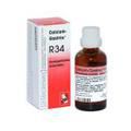 CALCIUM-GASTREU R34 Mischung