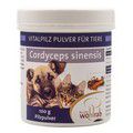 CORDYCEPS VITALPILZ Pulver für Tiere