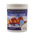 CORDYCEPS VITALPILZ Pulver für Tiere