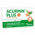 ACURMIN Plus Das Mizell-Curcuma Weichkapseln