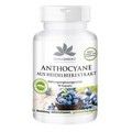 Anthocyane aus Heidelbeerextrakt 500mg