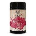 Heilkraft Kraftpilz Reishi